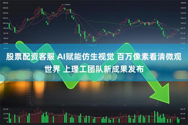 股票配资客服 AI赋能仿生视觉 百万像素看清微观世界 上理工团队新成果发布